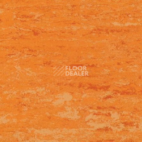 Линолеум Gerflor Linodur Sport 1072 Peach Orange фото 1 | FLOORDEALER